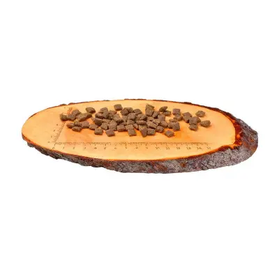 CARNILOVE Lamb & Wild Boar Adult Cat Sterilised 2 kg barība kaķiem