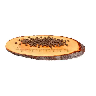 CARNILOVE Salmon & Turkey for Kittens 2 kg barība kaķiem