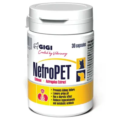 GIGI NefroPET kaps. N90