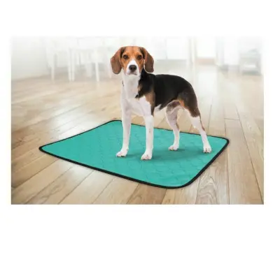 Flamingo TRAINING PAD GREEN L ANTISLIP 85x51cm - apmācības paliktnis