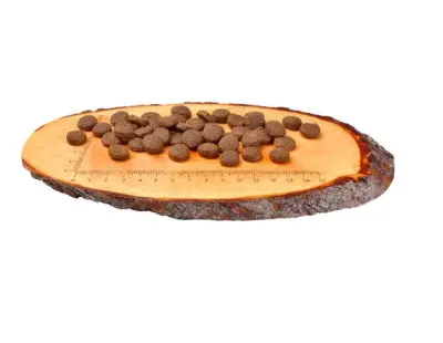 CARNILOVE Duck & Pheasant for Adult 1,5 kg barība suņiem