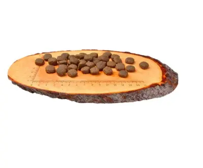 CARNILOVE Lamb & Wild Boar for Adult 1,5 kg barība suņiem