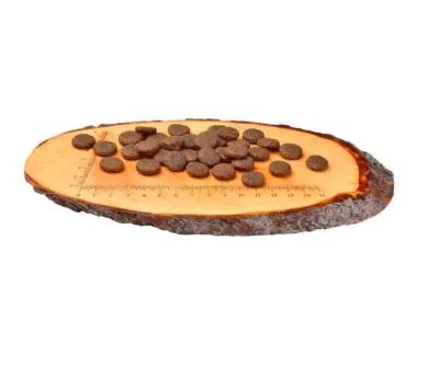 CARNILOVE Salmon & Turkey Large Breed Adult 1,5 kg barība suņiem