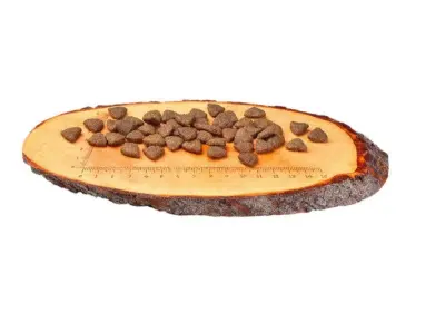 CARNILOVE Salmon for Adult 1,5kg barība suņiem